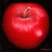 Red Apple Art Poster Print by Nelly Arenas, 12x12