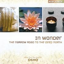 In Wonder: The Narrow Road to the Deep North