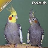 Cockatiels 2011 Wall Calendar #11085-11
