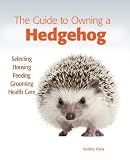 The Guide to Owning a Hedgehog
