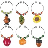 Boston Warehouse Be Thankful Wine Charm, Set of 6