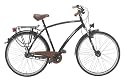 Ruhrwerk Herren Fahrrad (622 mm) Trekking Alu Gaze 7-Gang SRAM R&uuml;cktrittbremsnabe, gefedert mit Nabendynamo, tiefschwarz matt, 50 cm, 28 Zoll