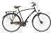 Ruhrwerk 0968224 Trekkingrad 28 Zoll Alu Herren Gaze 7-Gang SRAM Rücktrittbremsnabe, gefedert mit Nabendynamo