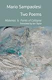 Two poems : Malvinas & Points of collapse