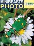 Science: Minibeasts (Primary Photopacks)