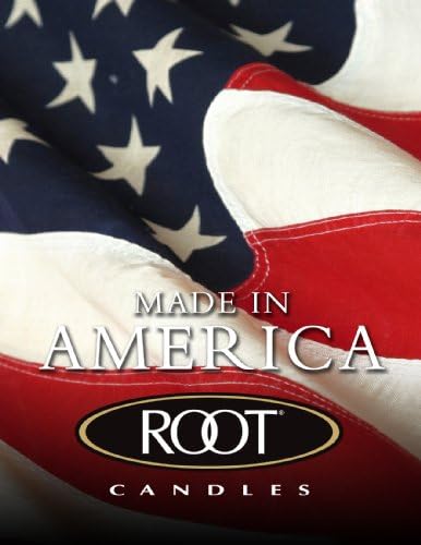 Root Boutique Unscented 9-Inch Timberline Arista Dinner Candles, Garnet Red, Box of 4