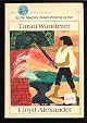 Taran Wanderer