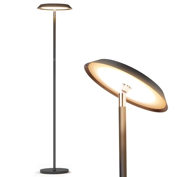 Floor Lamp Lamps For Living Room Led Dimmable Modern Tall