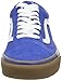 Vans Men's Old Skool Skate Shoe