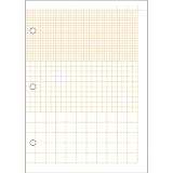 Zoomerang Orange Loose Leaf Graph Paper, 80 sheets, 6 x 8.5 Inches (41549)