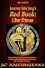 Journey Into Jung's Red Book: Liber Primus