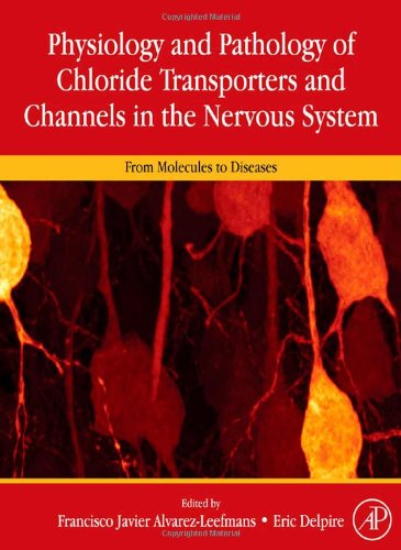 # Physiology and Pathology of chloride transporters and channels in the nervous system: From molecules to diseases