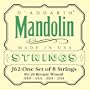 D'Addario J62 80/20 Bronze Mandolin Strings, Light, 10-34