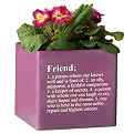 Cube Planter "Friend" - Purple (6")