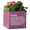 Cube Planter "Friend" - Purple (6")