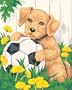 Dimensions Needlecrafts Paintworks Paint By Number, Puppy & Soccer Ball