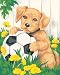 Dimensions PaintWorks/Paint By Number, Puppy & Soccer Ball