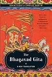 The Bhagavad Gita : a new translation