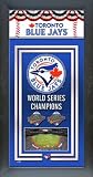 Toronto Blue Jays World Series Champions Framed Banner Picture
