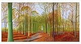 picture of David Hockney: A Bigger Picture