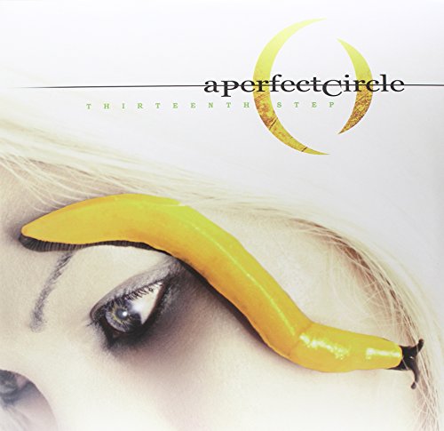 A Perfect Circle - Thirteenth Step [vinyl] - Zortam Music