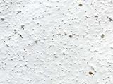 BL Plantable Wildflower Seed Paper White