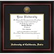 University of Cal Davis Gold Embossed Medallion 18x14 Diploma Frame