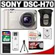 Sony Cyber-Shot DSC-H70 Digital Camera (Silver) with 8GB Card + Case + Battery + Accessory Kit Sony Cyber-Shot DSC-H70 Digital Camera (Silver) with 8GB Card + Case + Battery + Accessory Kit