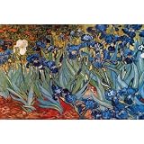 Vincent Van Gogh - Garden Of Irises, Art Poster Print - 36x24