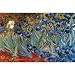 Vincent Van Gogh - Garden Of Irises, Art Poster Print - 36x24