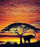 African Skies - Artist: Jim Zuckerman - Art Print Poster Size: 24.00 by 36.00 inches