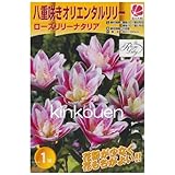 ���i�̏ڍ�