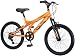 Pacific Exploit Boy's Mountain Bike (20-Inch Wheels)