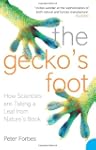 The Gecko's Foot