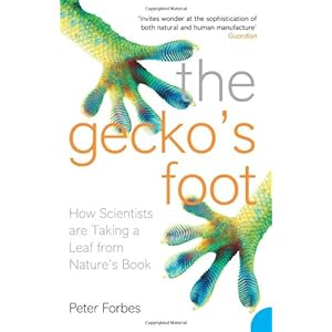 Peter Forbes Architect