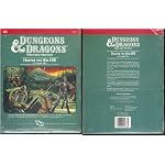 Horror on the Hill (Dungeons & Dragons Module B5) book cover