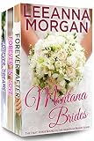 Montana Brides Boxed Set: Books 1-3 (The Montana Brides)