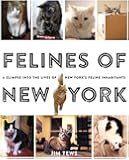 Felines of New York: A Glimpse Into the Lives of New York's Feline Inhabitants