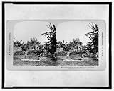 The site where many of the Astor Battery fell Aug. 13th 1899 [i.e., 1898], P.I. Reprint (14 x 12 inches)