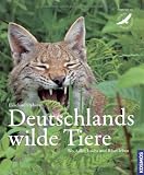 Deutschlands wilde Tiere: Wo Adler, Luchs und Biber leben - Ekkehard Ophoven