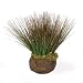 Potted Onion Grass Silk Arrangement