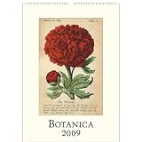 Botanica Cavallini 2009 Vintage Prints Wall Calendar 13 by 19 inches cream laid paper finish