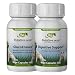image 5 - PetAlive GlucoBalance and Digestive Support ComboPack