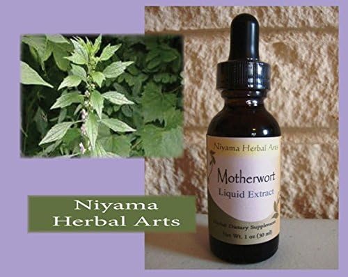 Motherwort Liquid Extract (4 ounce)