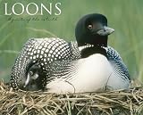 Loons 2010 Calendar