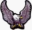 Small Grey & Black Eagle - 2" x 1 3/4" - Embroidered Iron On or Sew On Patch