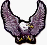 Small Grey & Black Eagle - 2" x 1 3/4" - Embroidered Iron On or Sew On Patch