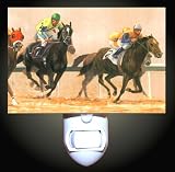 Review Decoration Sensation  / Race Horses Decorative Night Light