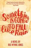 Something is Going to Fall Like Rain