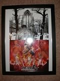 Fedor and Aleks Emelienanko Hand Signed 8x10 Picture Framed UFC Pride FC Autographed Poster